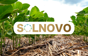 Projets Solnovo