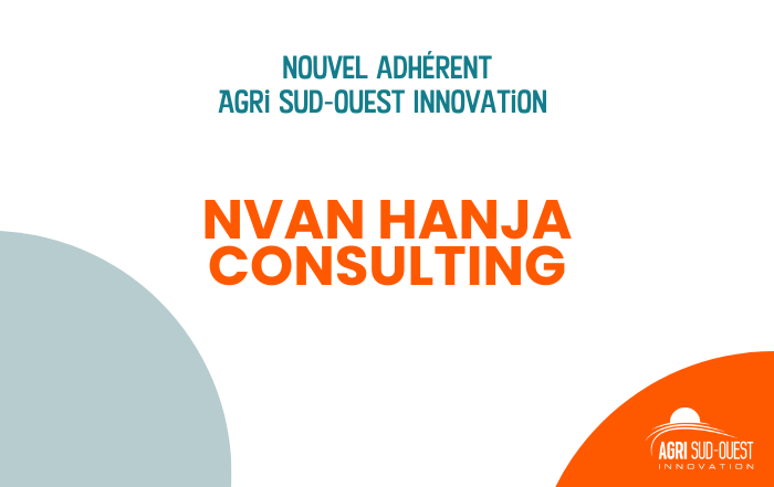visuel Nvan Hanja Consulting